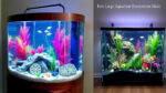 Best Large Aquarium Decorations Ideas