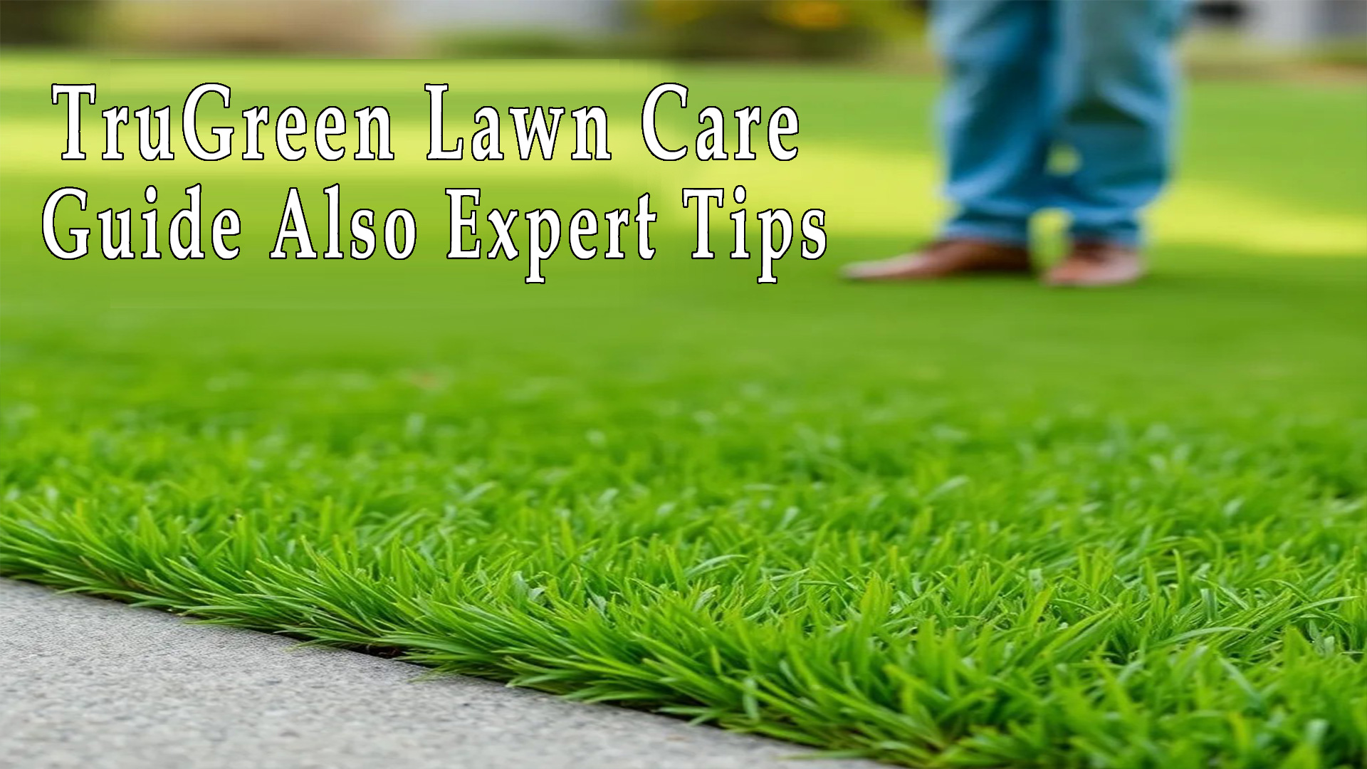 TruGreen Lawn Care